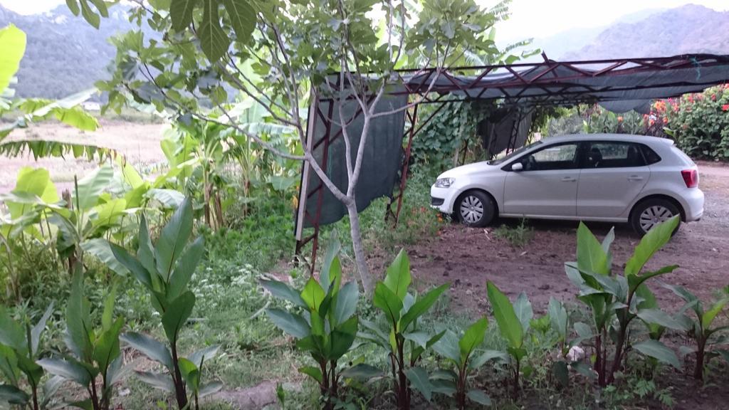 Sera Pansiyon Cirali Bagian luar foto