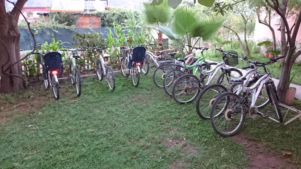Sera Pansiyon Cirali Bagian luar foto